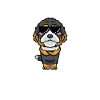 Bernedoodle Mama