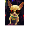 Party Chihuahua