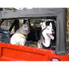 Cohen und Leica im CJ5