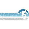 Skateboarder Skateboard Skater Skate Skateing