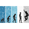 Evolution Skateboarder Skateboard Skater Skate