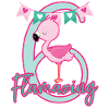 6th birthday Flamingo gift