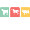 Brisketarian Brisket BBQ Lover