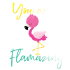 You are Flamazing Flamingo