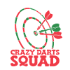 Darts Darts Player Darts