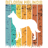 Berger Belge Malinois