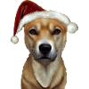 Carolina Dog Christmas