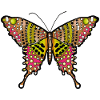 Butterfly Drawing Illustration Gift Idea