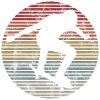 Skateboarder Skateboard Skater Skate Skateing