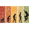 Evolution Skateboarder Skateboard Skater Skate