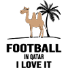 Fußball Katar Fußballexperte Fußball-hitze