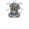 Weimaraner