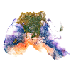 Farbfisch