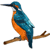 Bunter Vogel