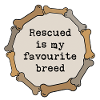 Rescued is my favourite breed