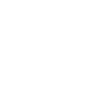 Bass Guitar Musician