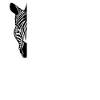 Safari Mode - African Safari Adventures