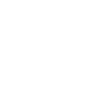 Flight attendant stewardess dog
