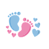 Gender Reveal Pregnancy Baby Party