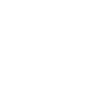 Zeppelin Icon Line