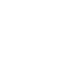 Cricket Line icon