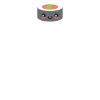 Japanese Food Sushi Lover Gift