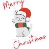 Merry Christmas Cat