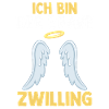Zwillingsgeschwister Braver Zwilling Zwillinge