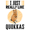 I like Quokka Australian marsupial