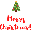 Merry Christmas gift idea