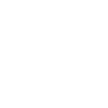 Data Scientist Data Analyst