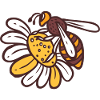 Honeybee