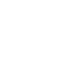 palm island pulse