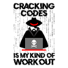 Cybersecurity Professional Hacker Cracking Codes