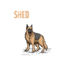 German Shepherd