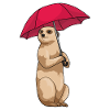 Parapluie suricate