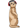 Meerkat Headphone Music