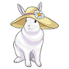 Rabbit Hat Flower
