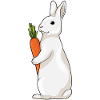 Rabbit Carrot