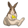 Pizza au lapin