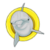 Dolphin Swimming Swim Ring Summer