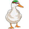 Duck Swimming Goggles