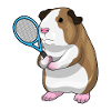 Guinea pig tennis racket