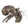 Hermit crabs Sp