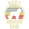 Meilleur père chien - Briard