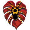 Tarantula | Spider on heart-shaped leaf