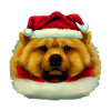 Chow Chow Noël