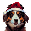 Aussie Christmas - Australian Shepherd
