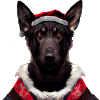 Dutch Shepherd Christmas
