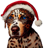 Catahoula Leopard Dog Christmas